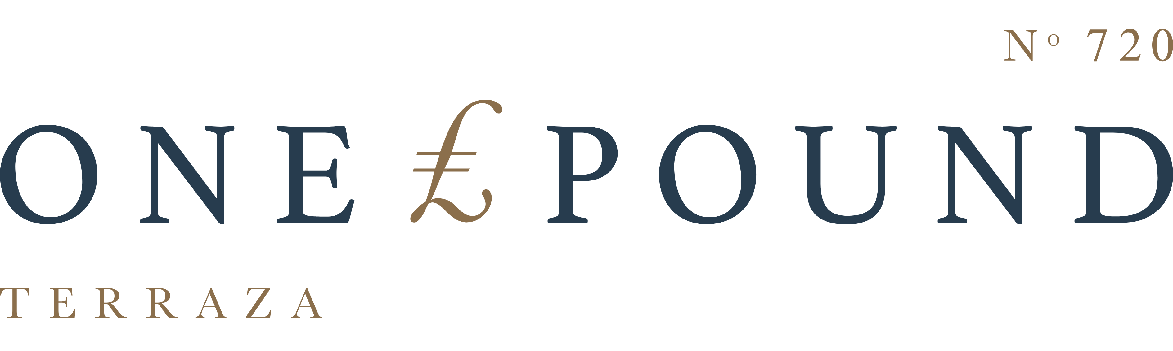 One Pound